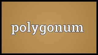 Polygonum Meaning [upl. by Aim]