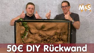 50€ Terrarium Rückwand bauen  DIY Anleitung  Reptil TV [upl. by Stralka]