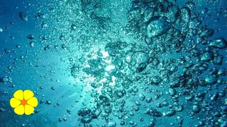 Underwater REAL Bubble Sounds  Water Bubbles  Underwater Sounds Ambience to Relax White Noise [upl. by Otreblasiul135]