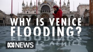 Why is Venice flooding  ABC News [upl. by Bach]