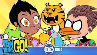 Teen Titans Go En Latino  Super Animales  DC Kids [upl. by Tizes]