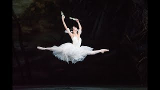 Giselle trailer The Royal Ballet [upl. by Naasar]