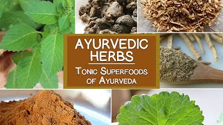 Learn How Ayurvedic Medicine Can Help You [upl. by Ojahtnamas]