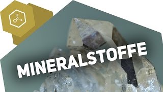 Mineralstoffe  Wofür brauchen wir sie [upl. by Aicenek]