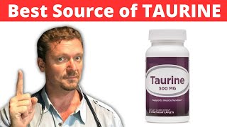 TAURINE Rich Foods  7 quotEssentialquot Foods 2024 [upl. by William]