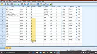 PENGOLAHAN DATA STATISTIK DENGAN SPSS VERSI 26 [upl. by Karee553]