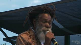 Don Carlos Live at Reggae on the River™ 2015 FULL SET [upl. by Yelsnya]