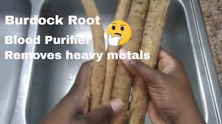 burdock root benefits herbs for health [upl. by Erroll]